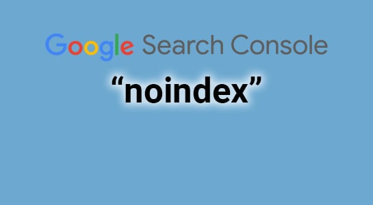 Gönderilen URL "noindex" işaretli hatası